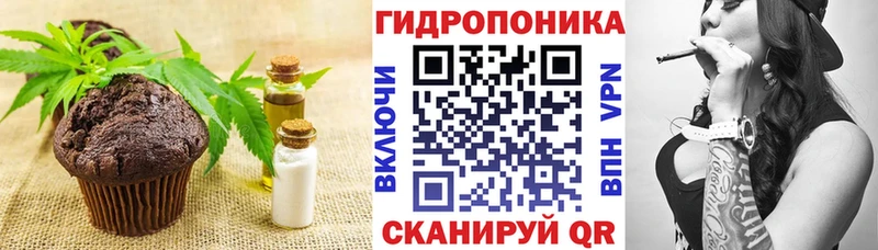 мориарти телеграм  Нязепетровск  Cannafood конопля 